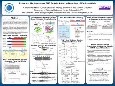 Roles and Mechanisms of FHF Protein Action in Disorders of Excitable